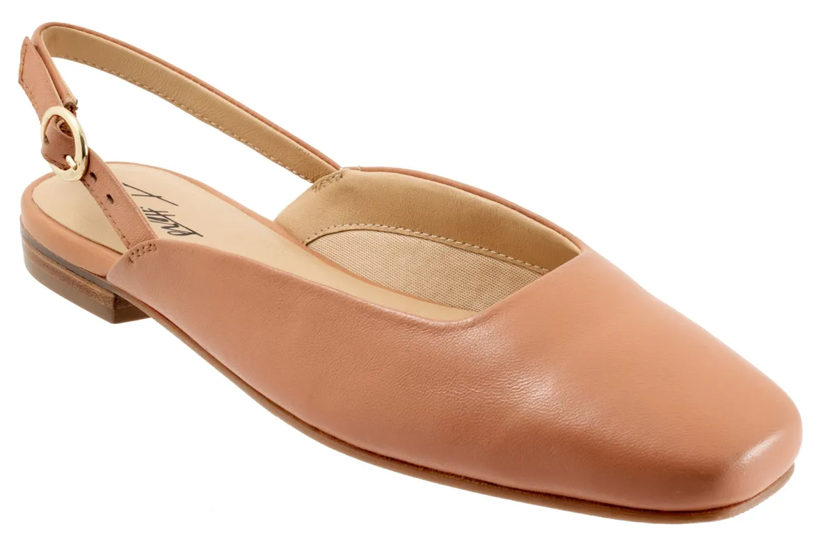 Holly-Trotters Outlet