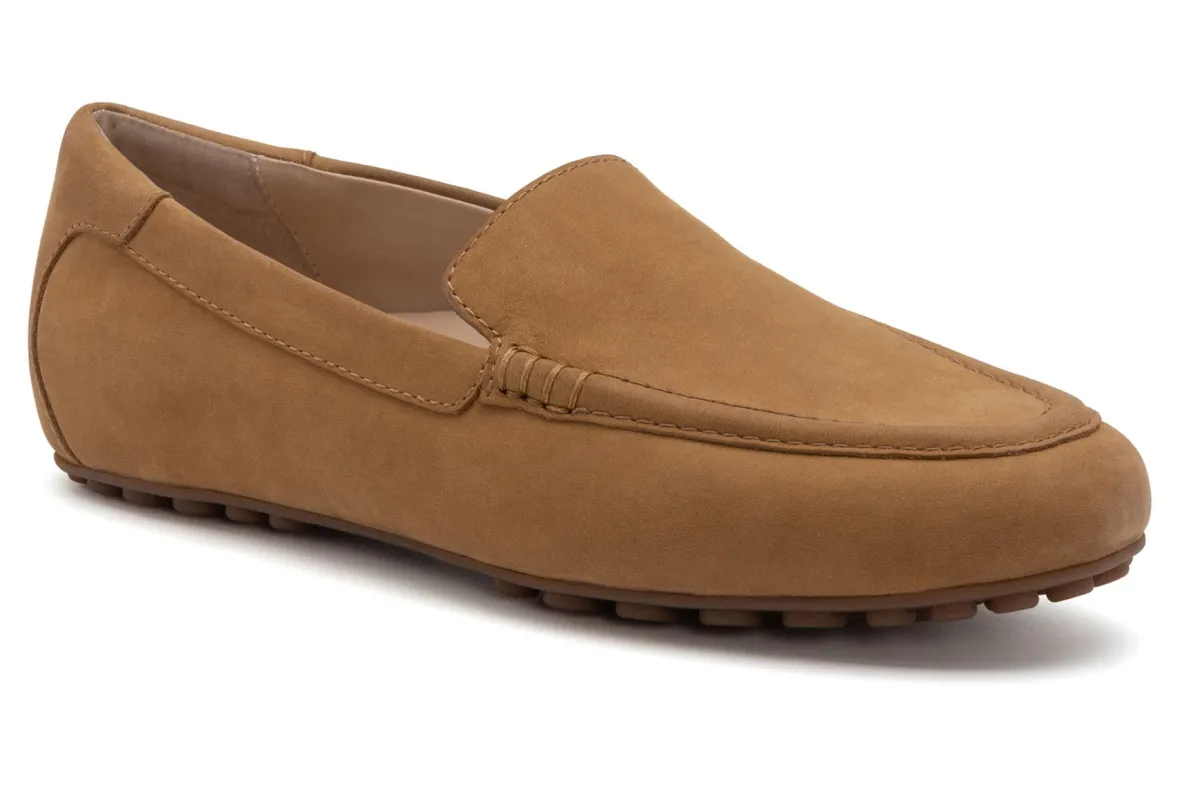 Harbor Metatarsal-ABEO Discount