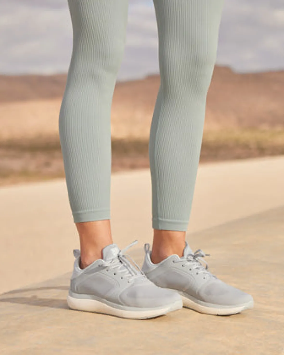 MXV Cruise-ABEO Online