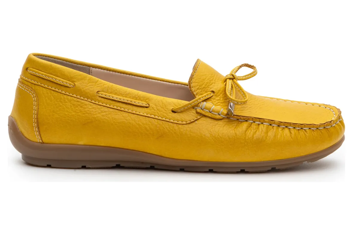 Amarillo-ara Fashion