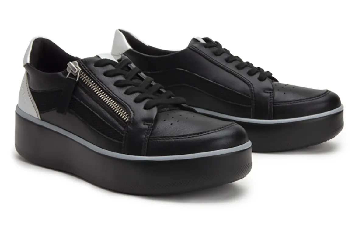 Traq Qwip-Alegria Best