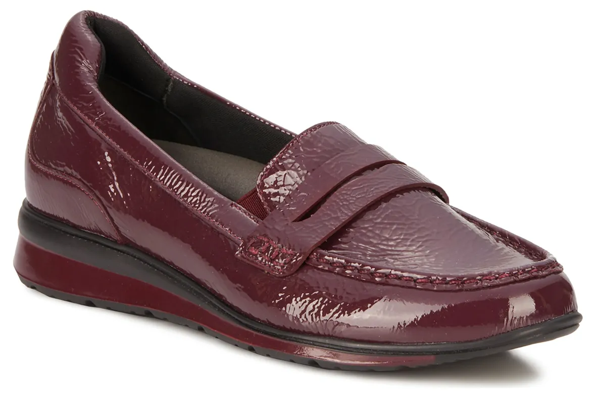 Dannon-Ros Hommerson New