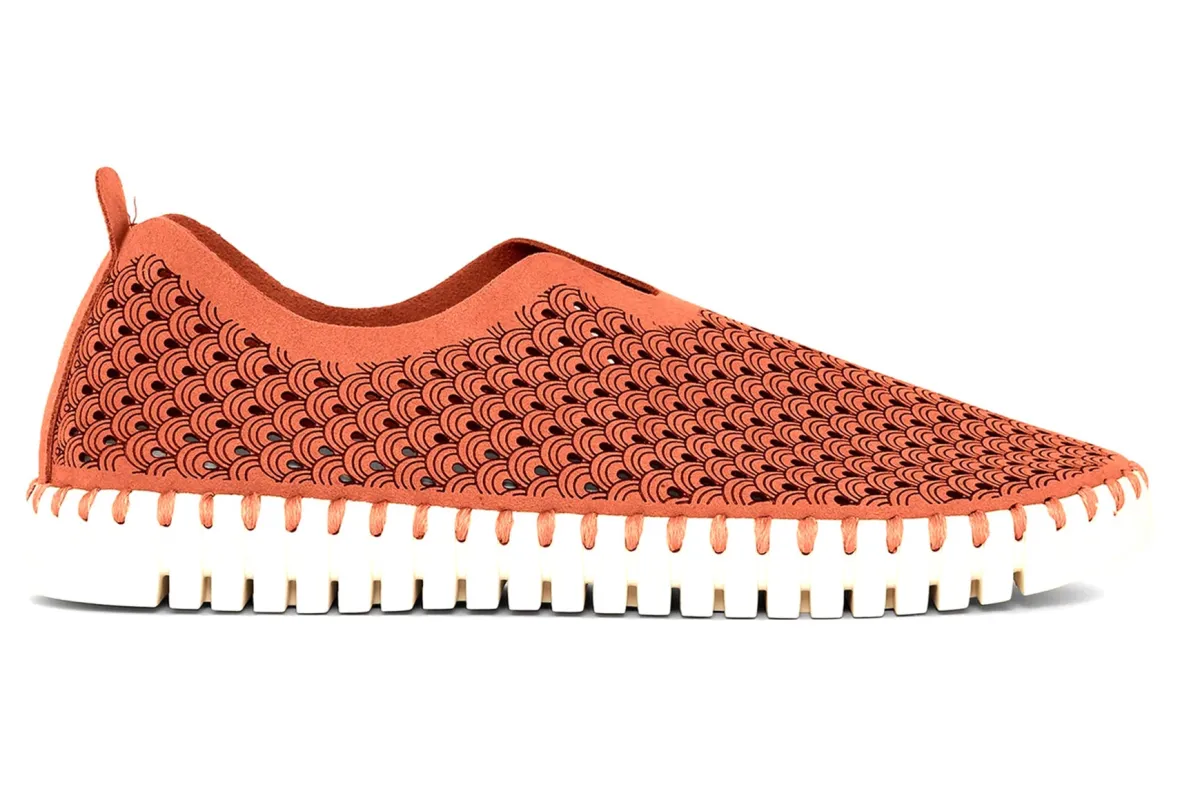 Tulip 141-Ilse Jacobsen Hot