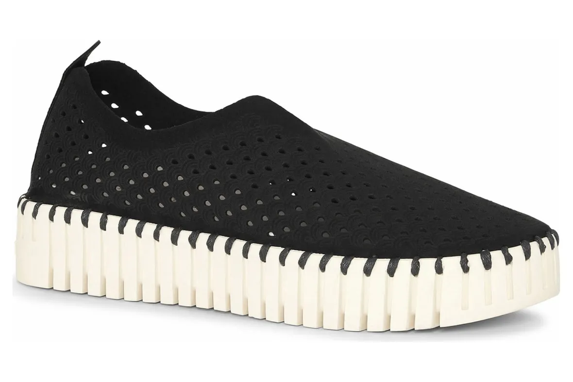 Tulip3373-Ilse Jacobsen New