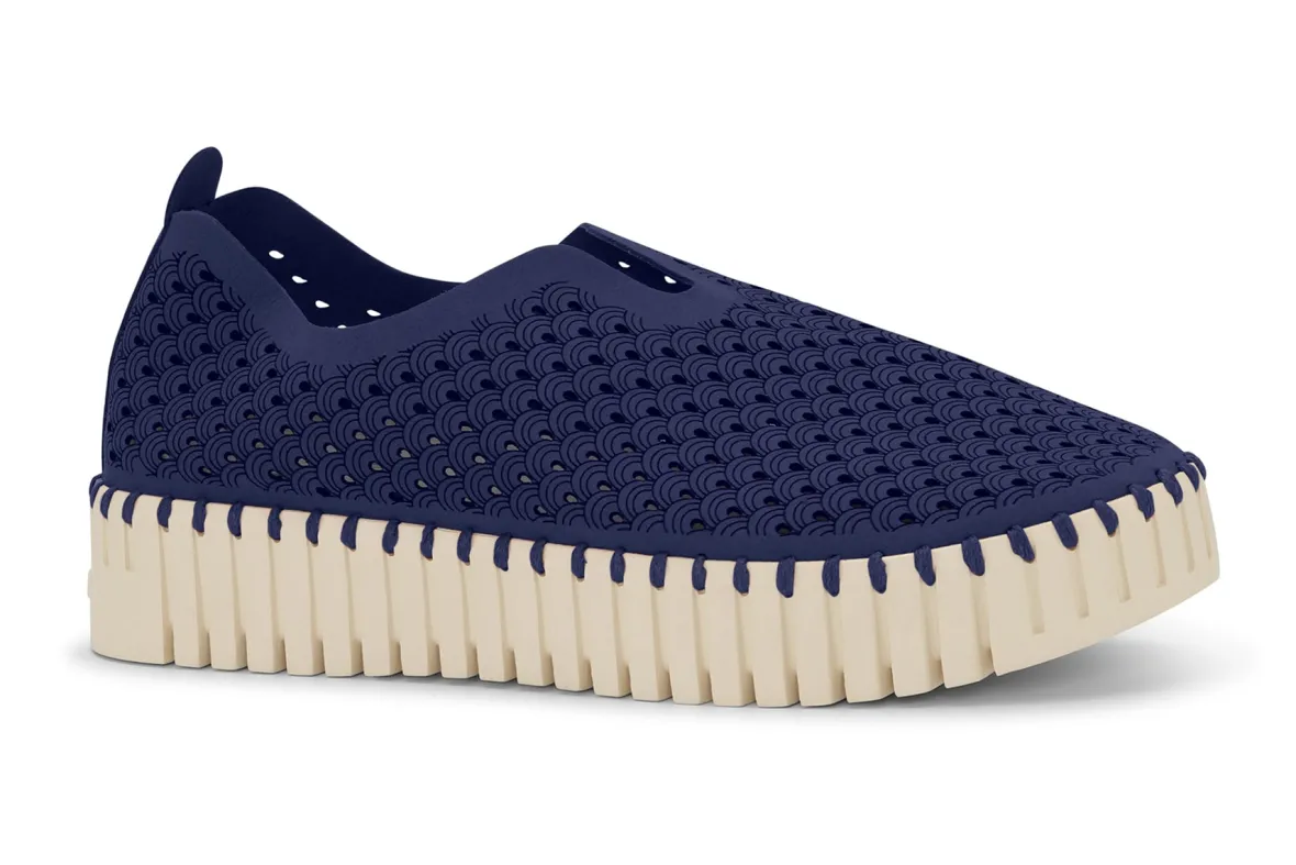 Tulip3373-Ilse Jacobsen Clearance