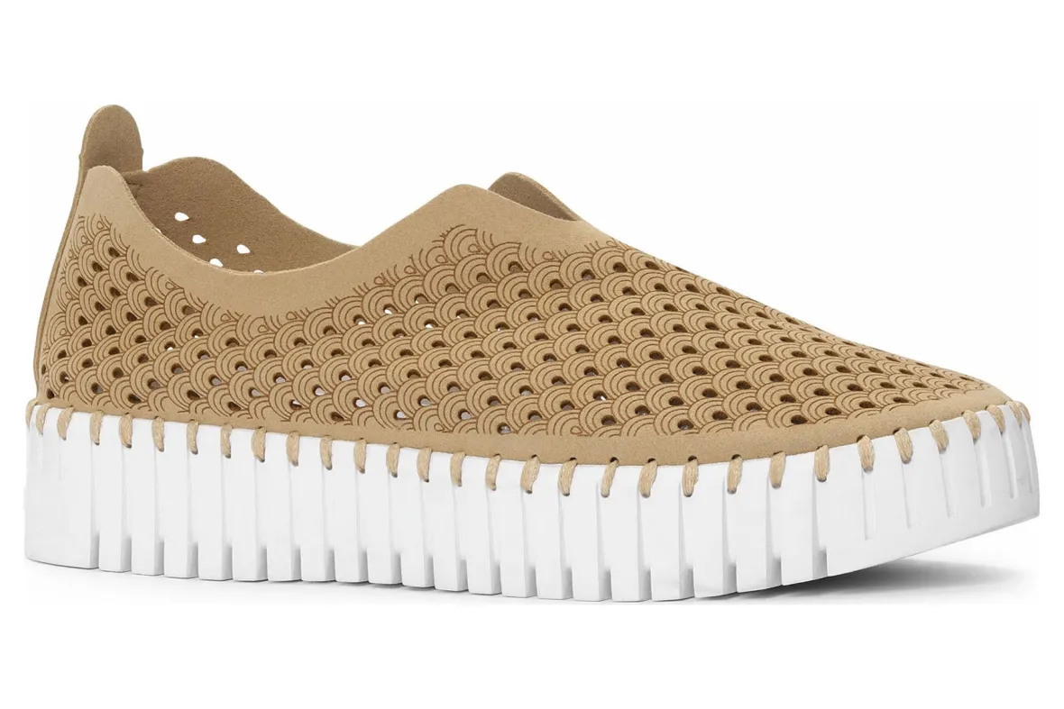 Tulip3373-Ilse Jacobsen Outlet