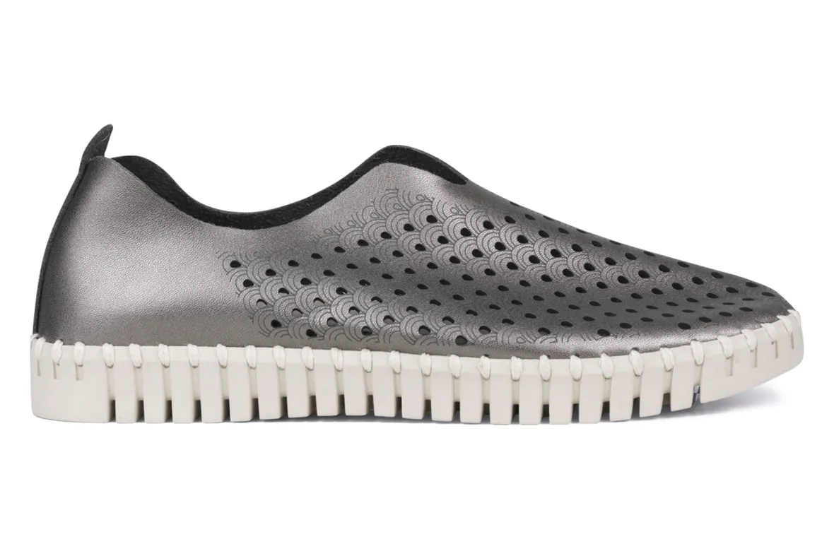 Tulip 3576-Ilse Jacobsen Hot