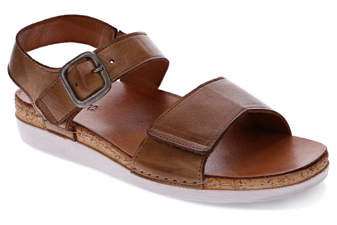 Georgia-Revere Online