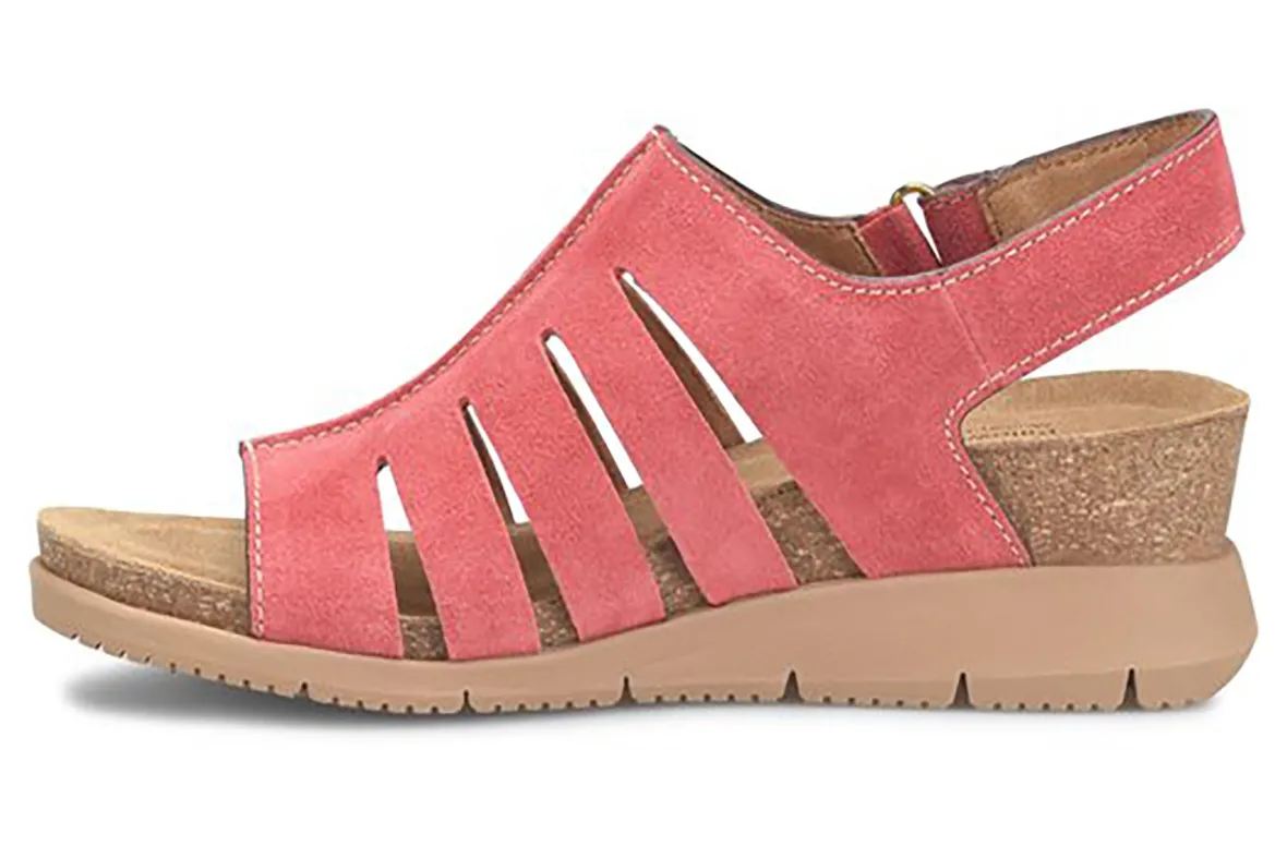 Scottie-Comfortiva Best