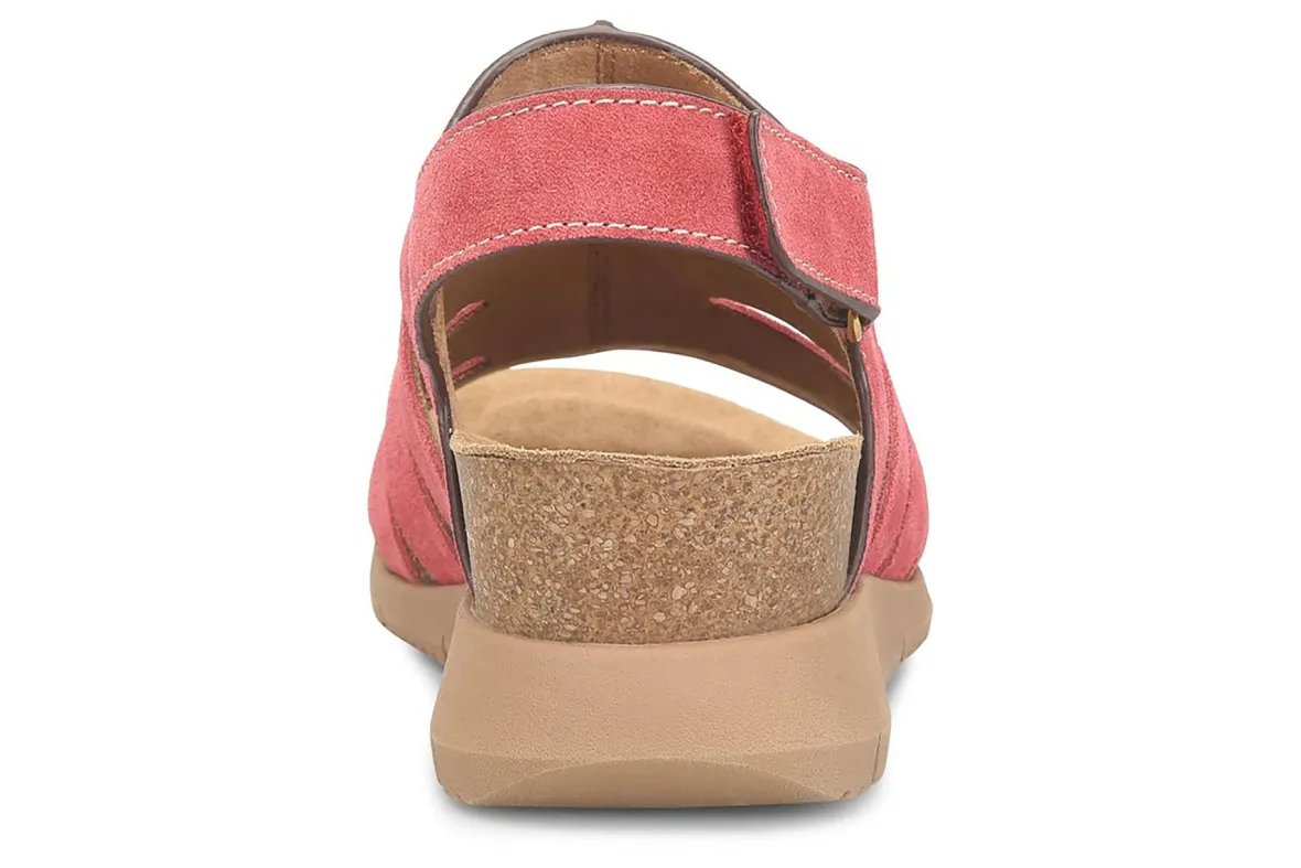 Scottie-Comfortiva Best