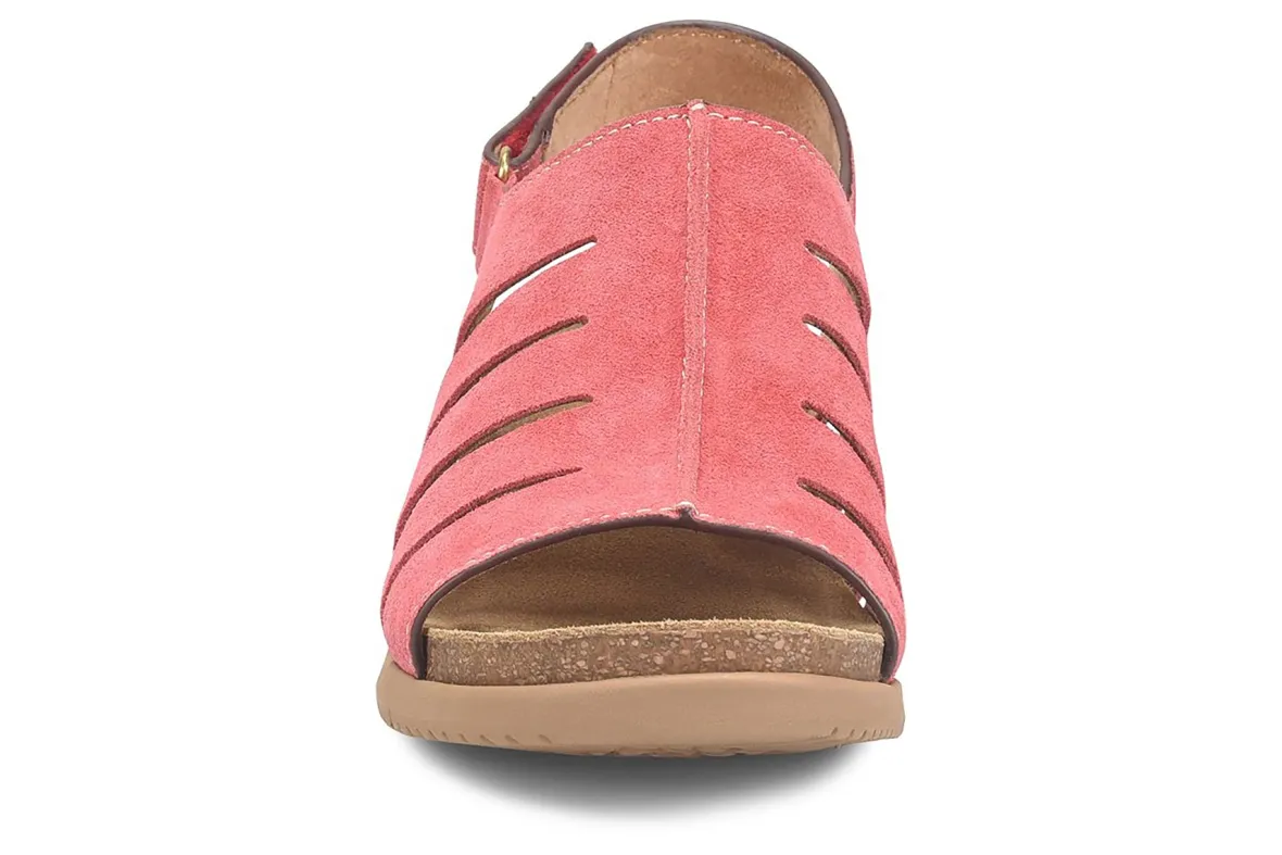 Scottie-Comfortiva Best