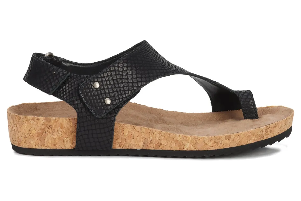 Preston-Ros Hommerson Clearance