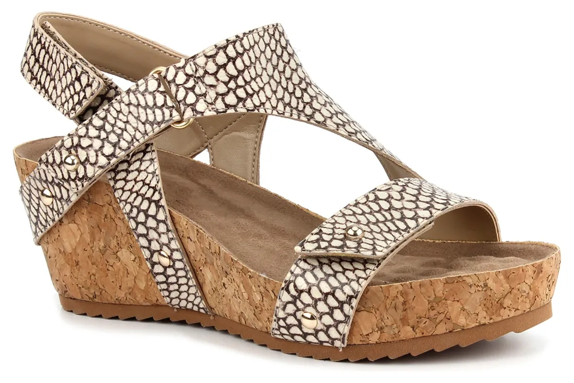 Traci-Ros Hommerson New