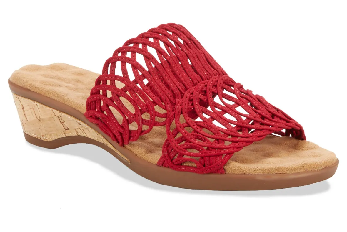 Kudos-Ros Hommerson Sale