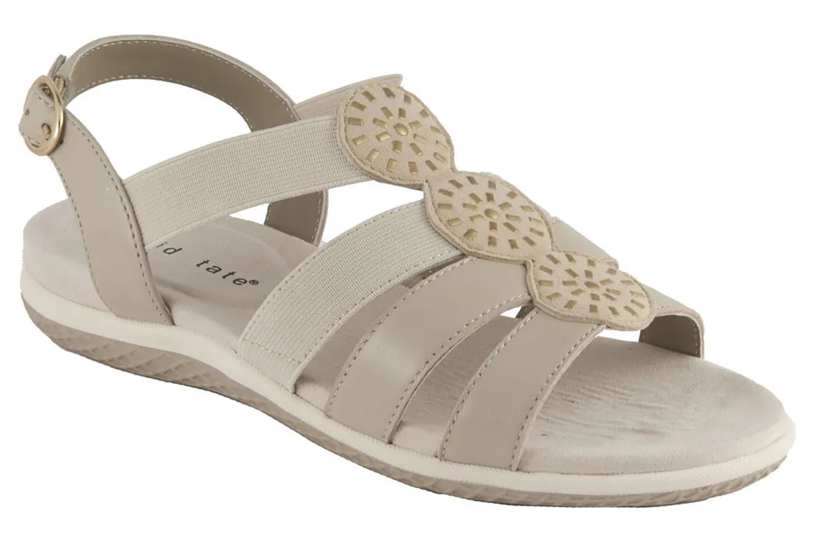 Quilt-David Tate New