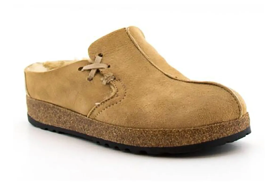 Saskatchewan-Haflinger Clearance